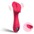 (image for) Clitoris Vagina Labia Vibrator