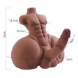 (image for) Big Butt 12.10 lb Male Torso Sex Doll