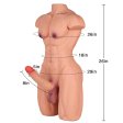 (image for) Male 35.2LB Torso Sex Doll for Women