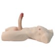 (image for) Removable Dildo Male Sex Doll Torso