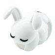 (image for) Sleepy Little Bunny Chastity Cage