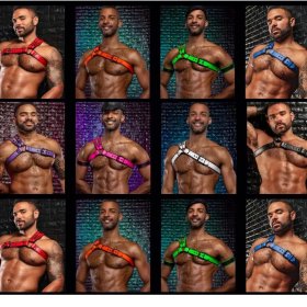 Leather Tri Harness Chest Armor