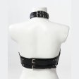 (image for) Leather Bra with Choker Aurora