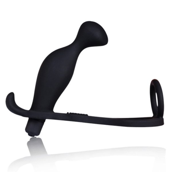 (image for) Cock Ring And Anal Plug Vibrator