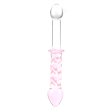 (image for) Pleasing Double Ended Glass Plug