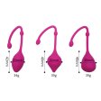 (image for) Vaginal Ben Wa Balls Tight Exercise Kit