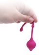 (image for) Vaginal Ben Wa Balls Tight Exercise Kit