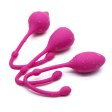 (image for) Vaginal Ben Wa Balls Tight Exercise Kit