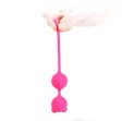 (image for) Cat Silicone Benwa Balls