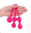 (image for) Kegel Exercise Weights Kit
