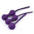 (image for) Kegel Exercise Weights Kit