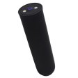 (image for) Magnetic charge Sex Bullet