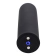 (image for) Magnetic charge Sex Bullet