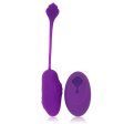 (image for) Mango Recharge Sex Egg