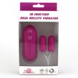 (image for) 10 Function Dual Bullets Vibrator