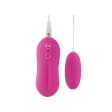 (image for) 10 Function Egg Vibrator