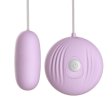 (image for) Shell Vibration Sex Egg