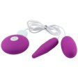 (image for) Duo USB Recharge Sex Egg
