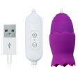 (image for) USB Power Duo Bullet Vibrator