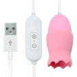 (image for) USB Power Duo Bullet Vibrator