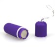 (image for) Screaming O Remote Control Master Ring And Bullet Set
