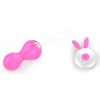 (image for) Sprouting Rabbit Gourd Wireless Egg