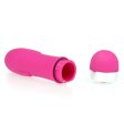 (image for) Rocket Series Vibrator - Dolphion