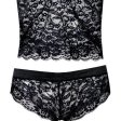 (image for) Pure Lace See-through Sexy Bra & Panty Lingerie