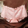 (image for) Alluring Floral Lace Transparent Panty Lingerie