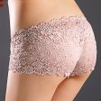 (image for) Alluring Floral Lace Transparent Panty Lingerie