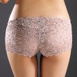 (image for) Alluring Floral Lace Transparent Panty Lingerie