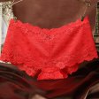 (image for) Alluring Floral Lace Transparent Panty Lingerie