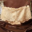 (image for) Alluring Floral Lace Transparent Panty Lingerie
