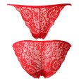 (image for) Ladies See-through Lace Briefs Sexy Underwear