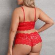 (image for) Plus Size Lace Bra And Panty For Ladies