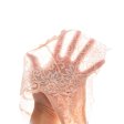 (image for) New Ladies Seamless Lace Underwear T-back