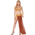 (image for) Exotic Hot Suit With Long Dress Sexy Lingerie
