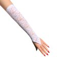 (image for) New Fashion Women's Flowers Lace Gloves