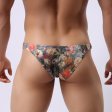 (image for) Vintage Floral Hip Brief Sexy Underwear
