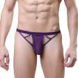 (image for) Sexy Hollow Out Assless Men T-string