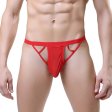 (image for) Sexy Hollow Out Assless Men T-string