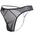 (image for) Passion See-through Mesh T-string Men Thong