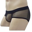 (image for) See-through Breathable Mesh Panty Sexy Underwear
