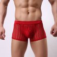 (image for) High Quality Fishnet Hollowed-out Men Hipster