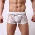 (image for) High Quality Fishnet Hollowed-out Men Hipster