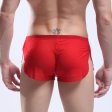 (image for) New Arrival See-through Comfortable Mesh Boxers