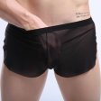 (image for) New Arrival See-through Comfortable Mesh Boxers