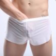 (image for) New Arrival See-through Comfortable Mesh Boxers