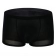 (image for) Hard To Resist Comfortable Ice Silk Boxer Brief
