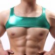 (image for) Bright Gold Faux Leather Vest For Men Sexy Lingerie